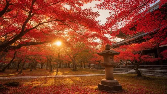 京都の紅葉と寺
